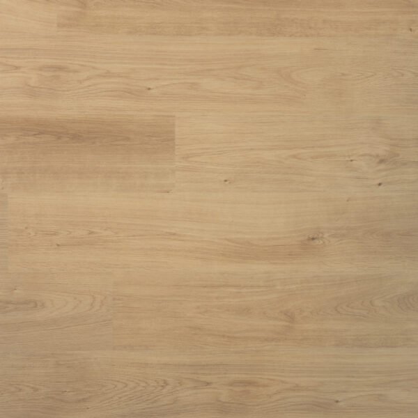 DD Plank Nootmuskaat