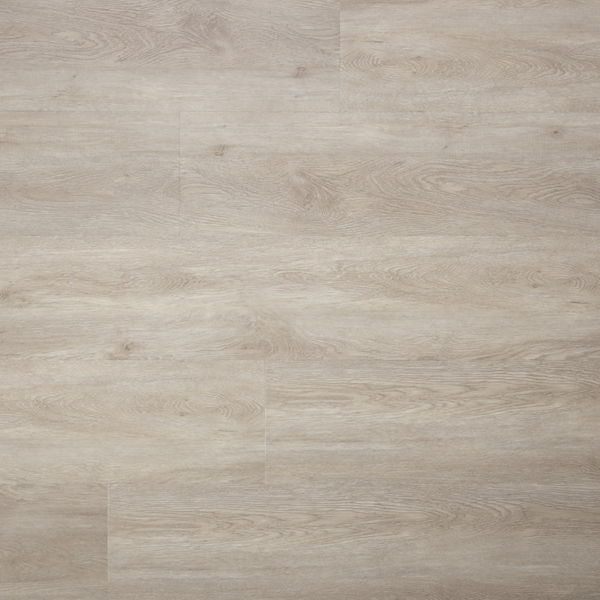 SENSE E10
