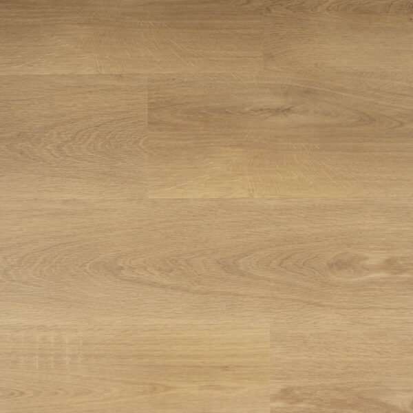 Strook SENSE 955