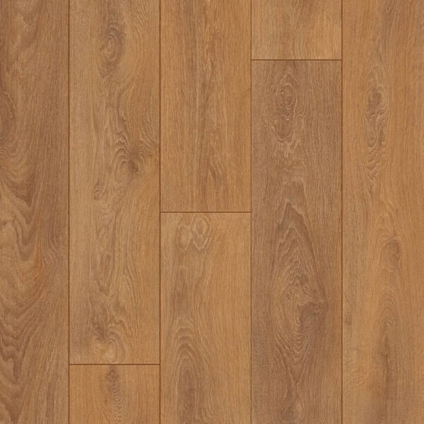 OTIUM Ritual brown