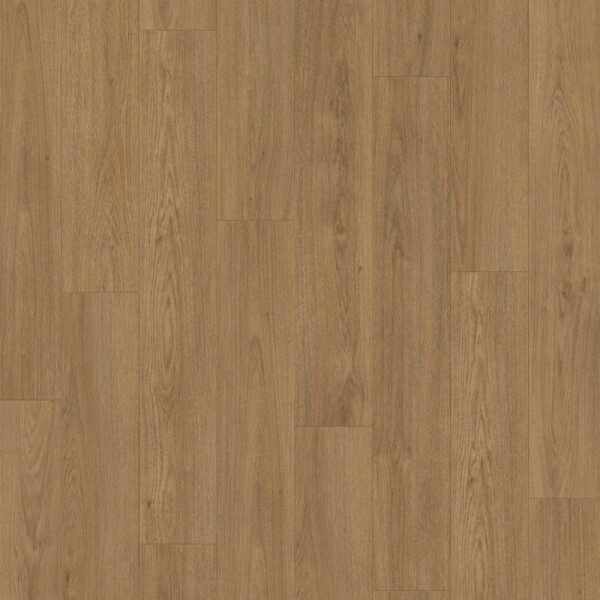 DD Extra lange plank Olijf 8 mm, 24,3 cm, 4MV